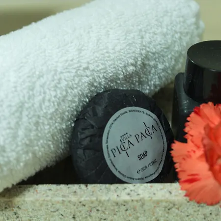 Bed & Breakfast Pica Paca - Old Town 3*