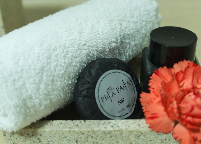 Bed & Breakfast Pica Paca - Old Town 3*